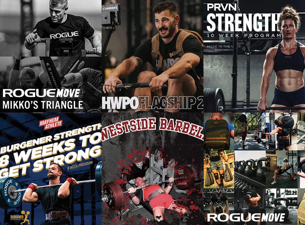 ローグフィットネス Rogue Monster Rhino Belt Squat - Drop-In | Rogue Fitness